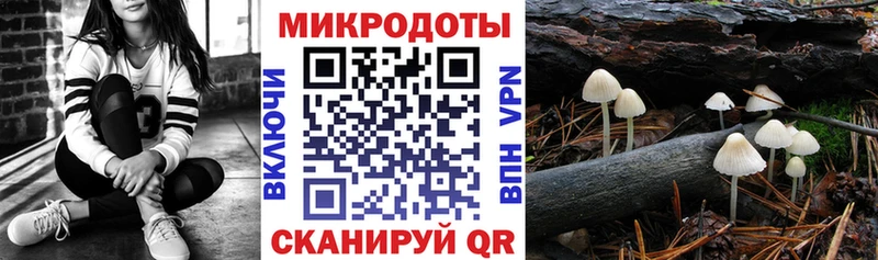 Псилоцибиновые грибы Psilocybe  Мариинск 